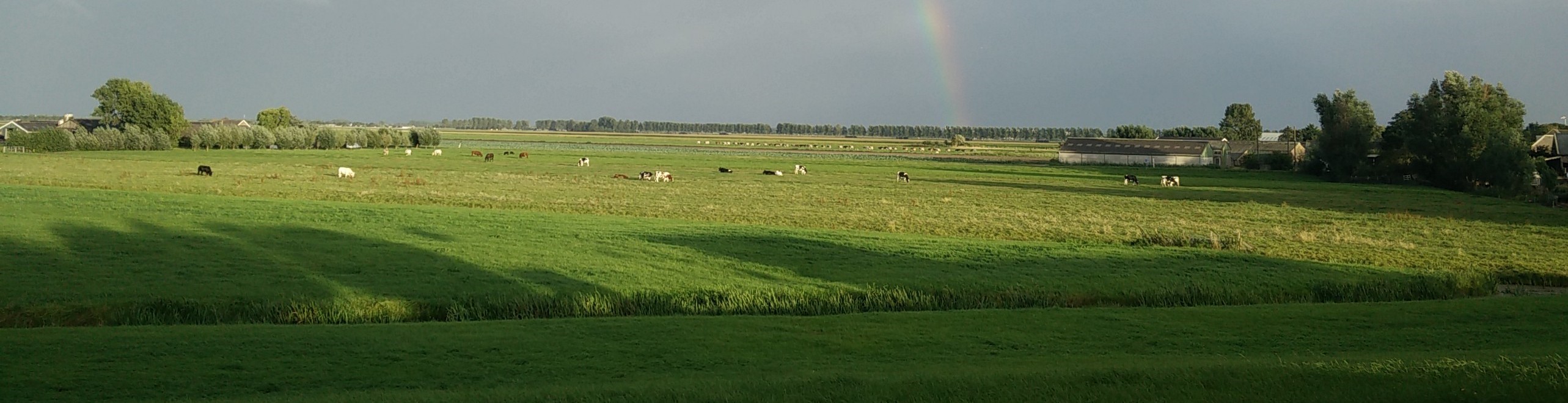 polder, breed